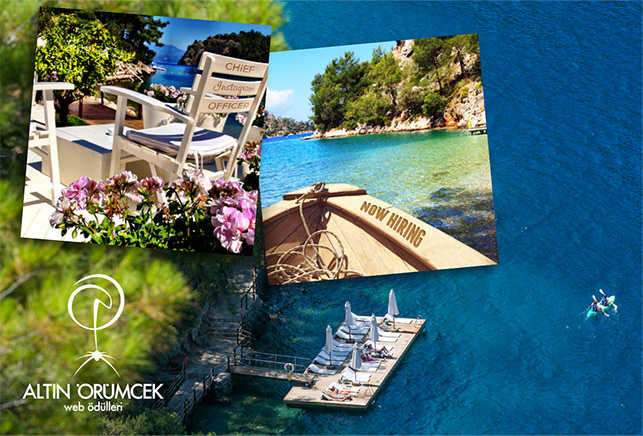 Hillside Beach Club’s CIO project selected the “Best Social Media Campaign” in the 14th Golden Spider Web Awards