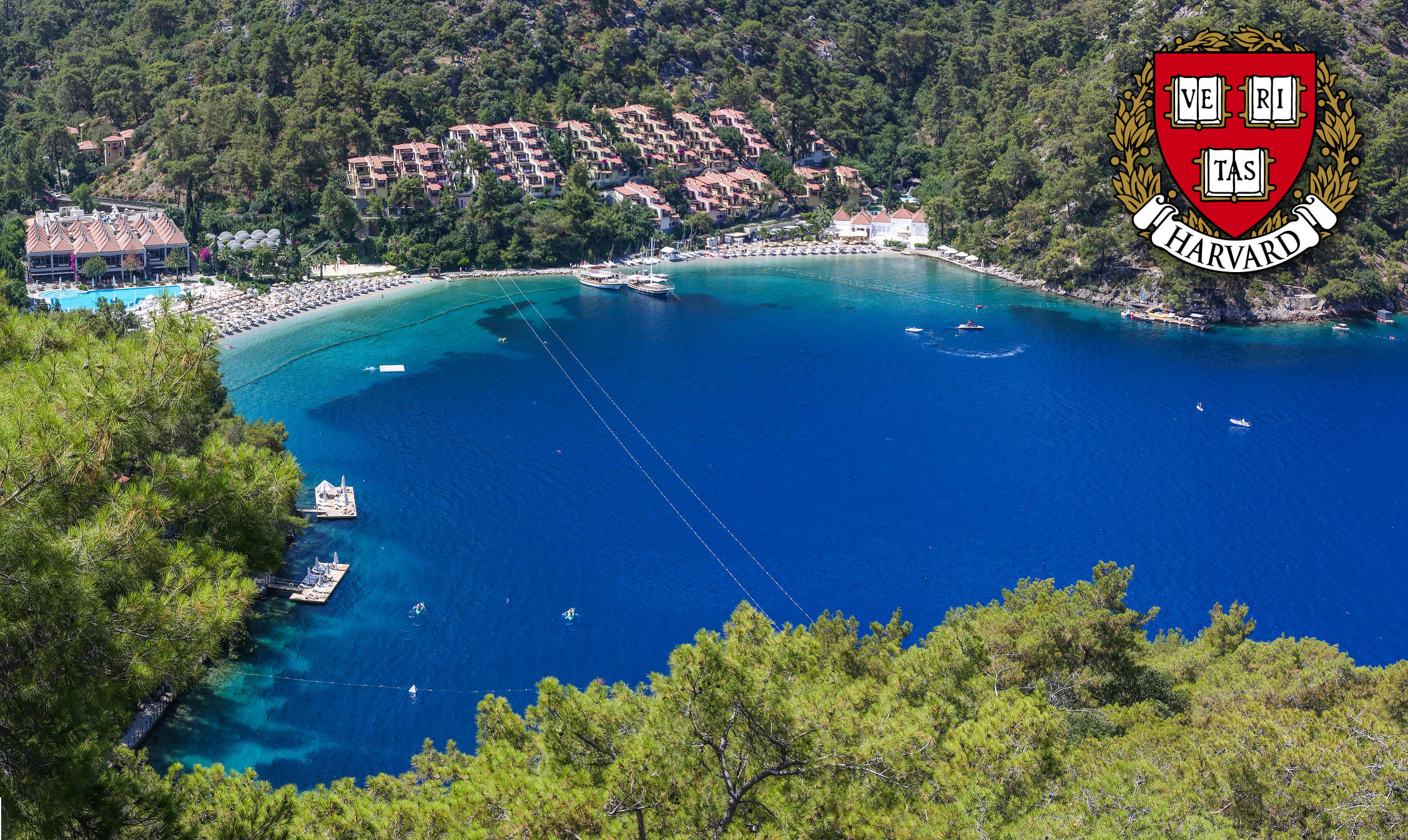 Hillside at Harvard Classes