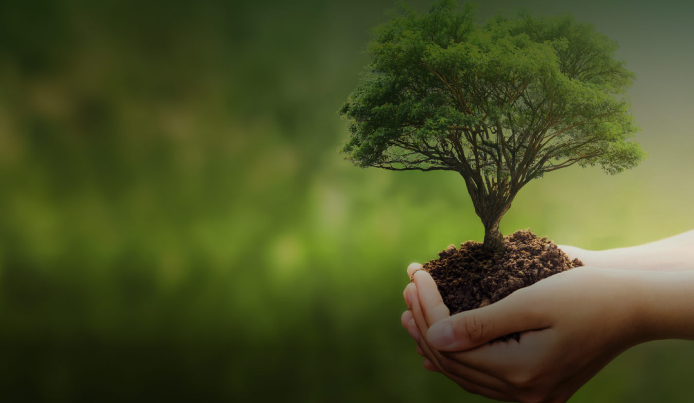 Sürdürülebilirlik